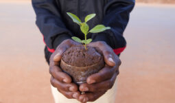 shutterstock_691766194-2-255x150